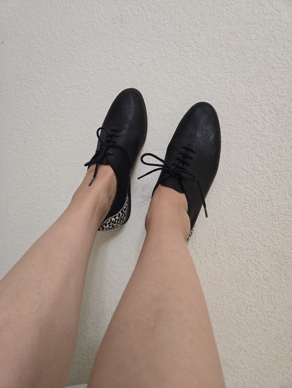 Arche Black Leather Lace-Up Flats with Leopard Heel Accent - Picture 11 of 13